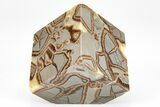 Wide, Polished Septarian Cube - Utah #207787-2